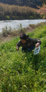 収穫中のしほさん